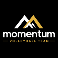 Momentum